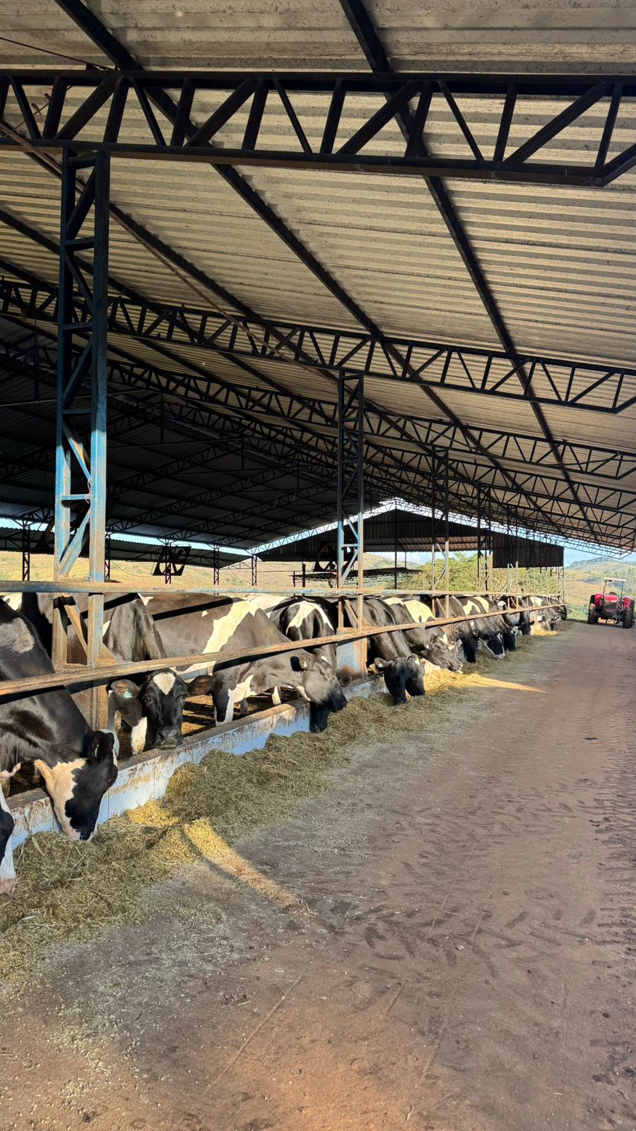 Imagem do WhatsApp de 2025-06-02 à(s) 18.51.05_43db9449.jpg