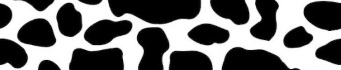 Imagem do WhatsApp de 2025-05-25 à(s) 14.33.57_87f0e497.jpg