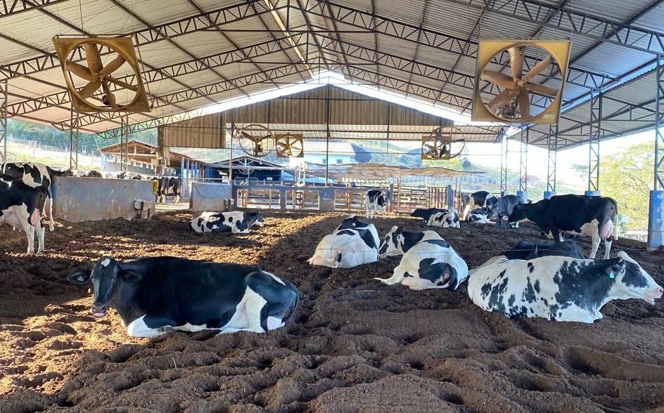 Imagem do WhatsApp de 2025-06-05 à(s) 16.17.32_09bf5166.jpg