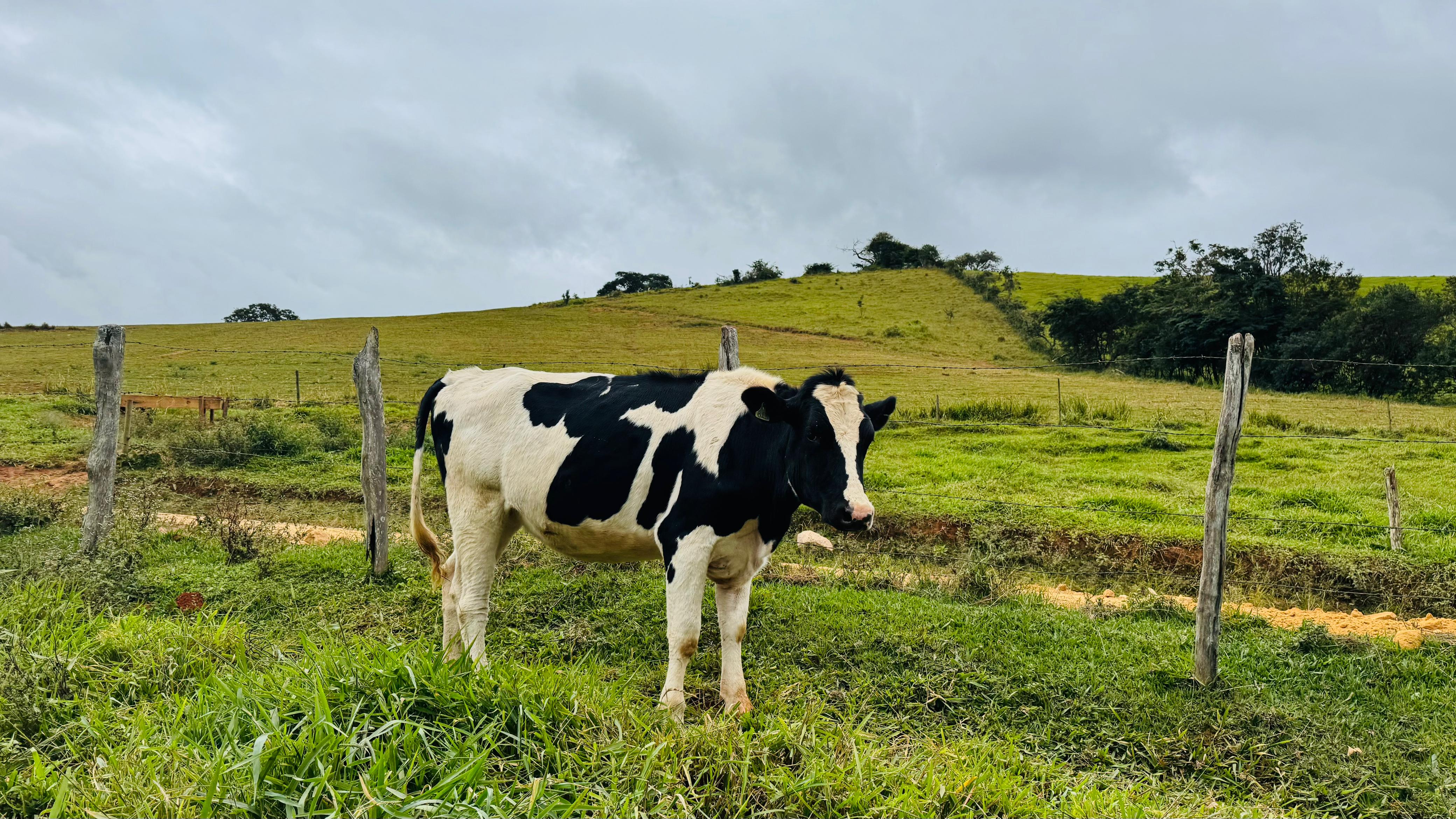 Imagem do WhatsApp de 2025-05-31 à(s) 12.14.58_b48c80c6.jpg