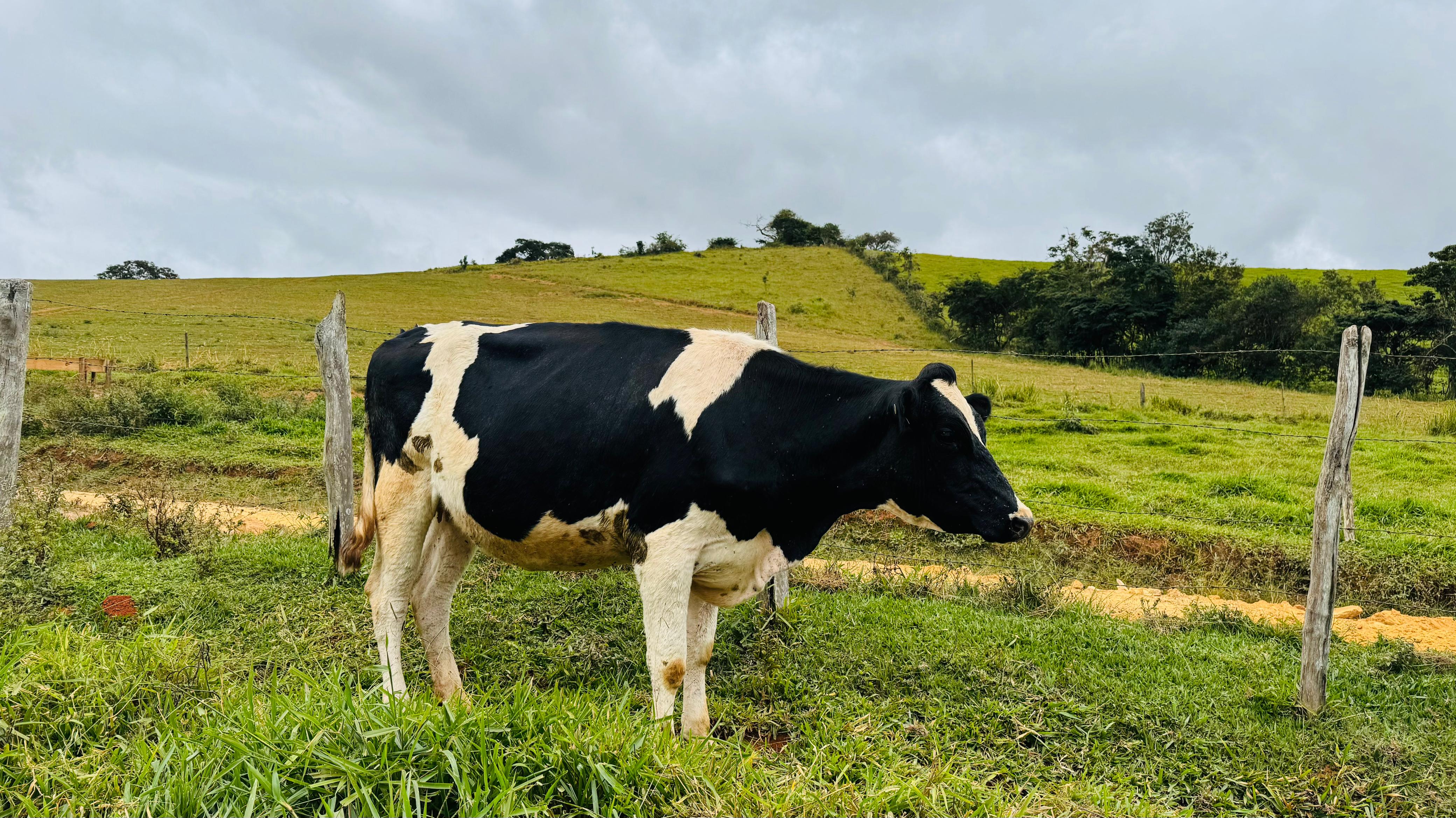 Imagem do WhatsApp de 2025-05-31 à(s) 12.14.51_3c3bd637.jpg