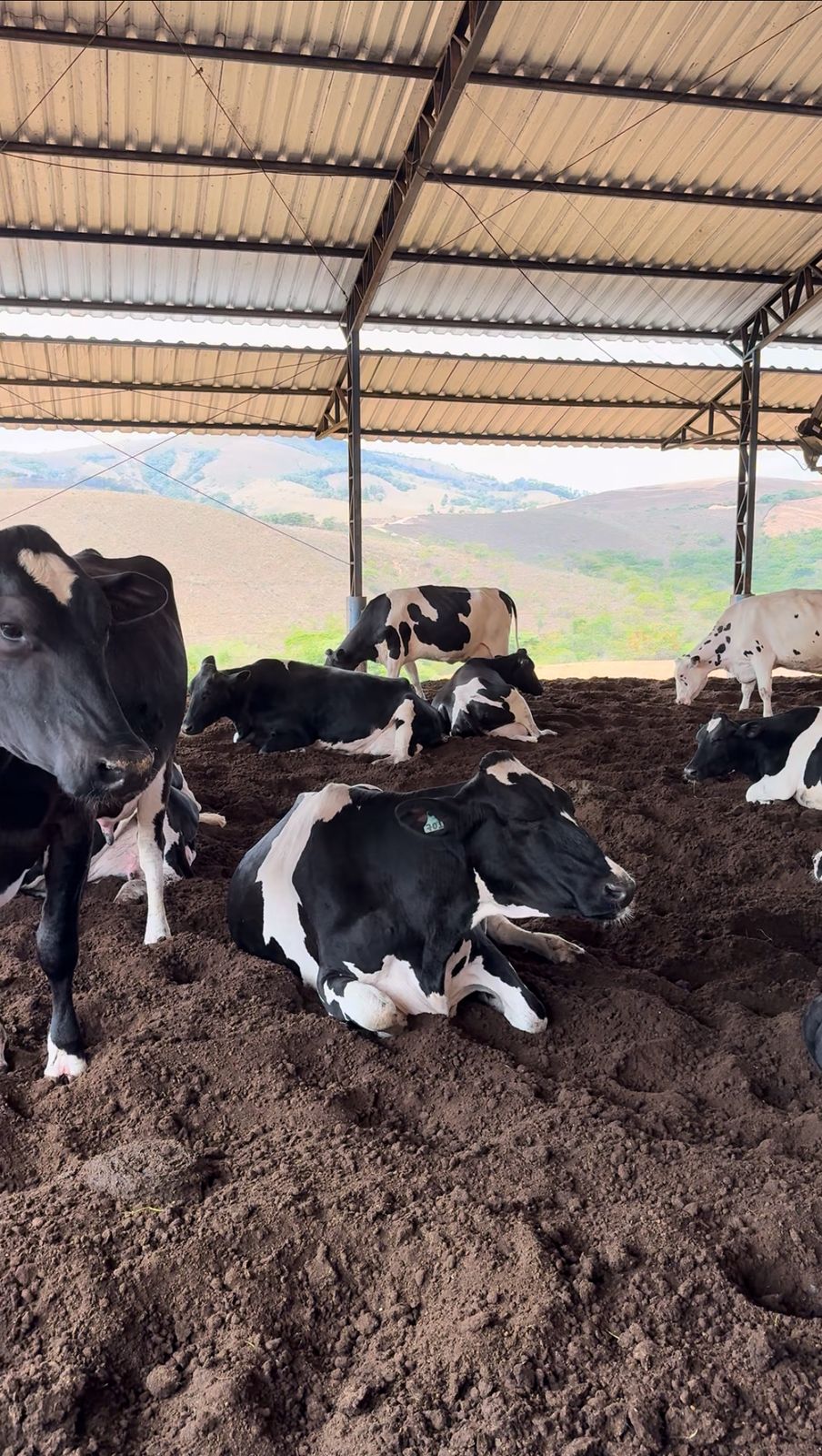 Imagem do WhatsApp de 2025-06-05 à(s) 16.23.24_199df206.jpg