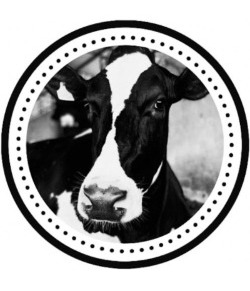 Imagem do WhatsApp de 2025-05-19 à(s) 15.22.30_432dab0c.jpg