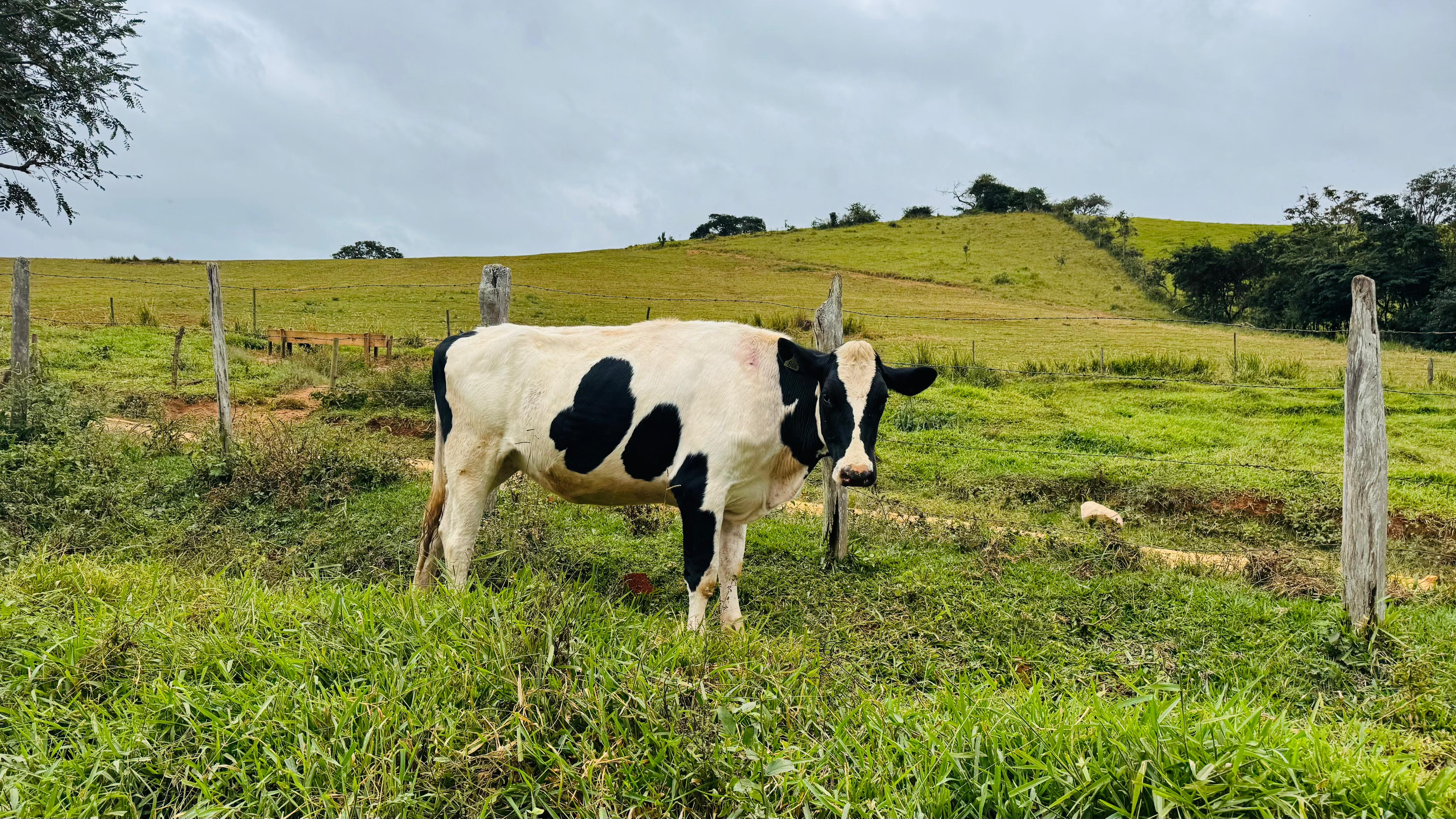 Imagem do WhatsApp de 2025-05-31 à(s) 12.15.06_ef7b35d8.jpg